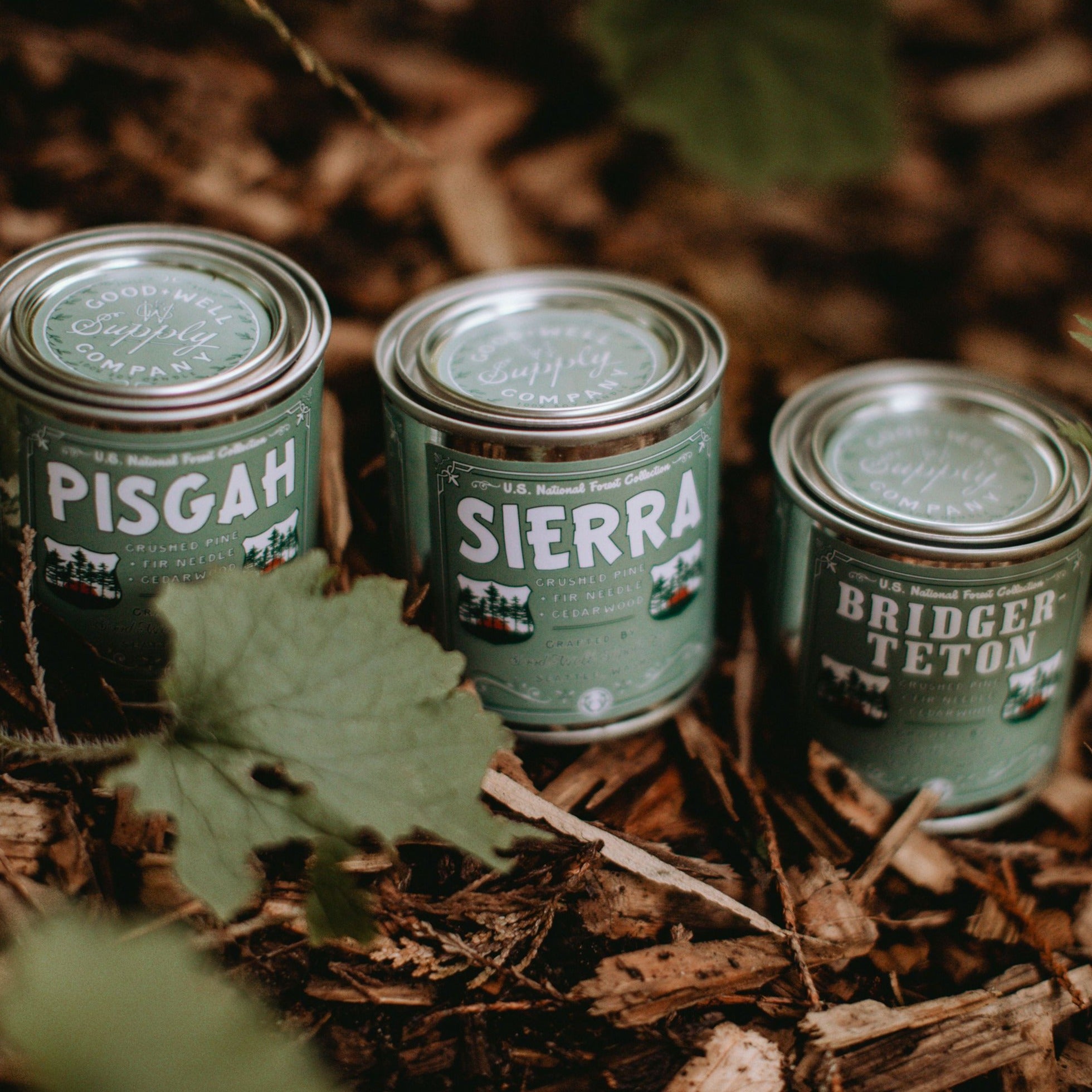 National Forests Candle Collection
