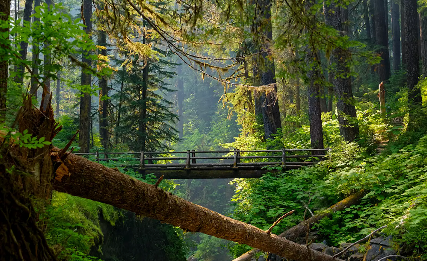 Journey to the Pacific Northwest