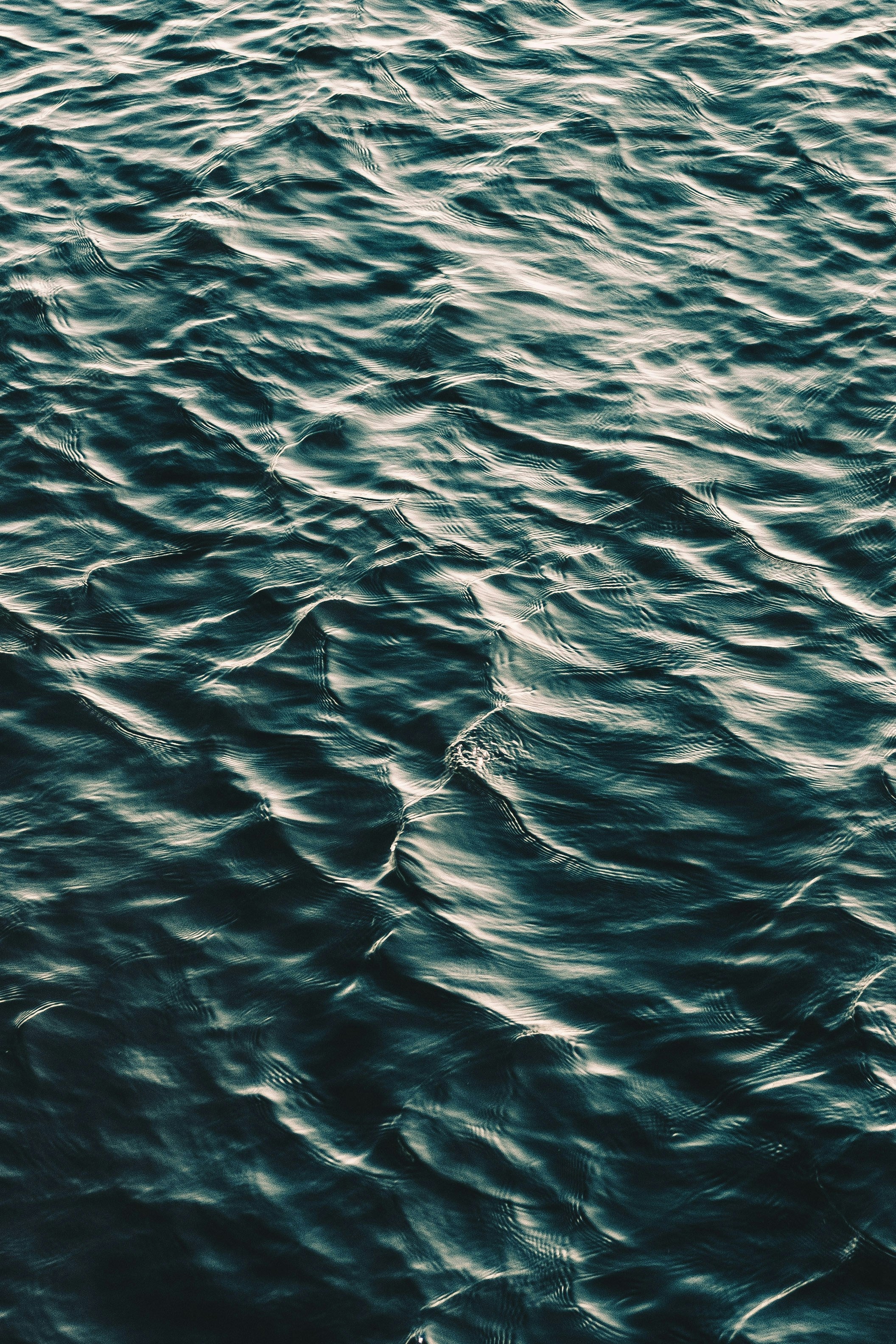 Aquatic
