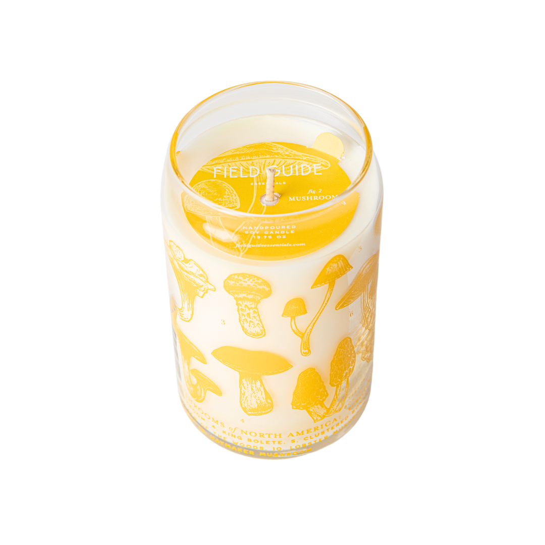 Mushrooms Soy Candle