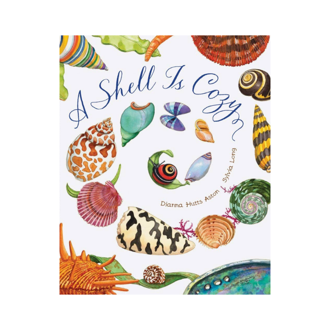 A Shell Is Cozy