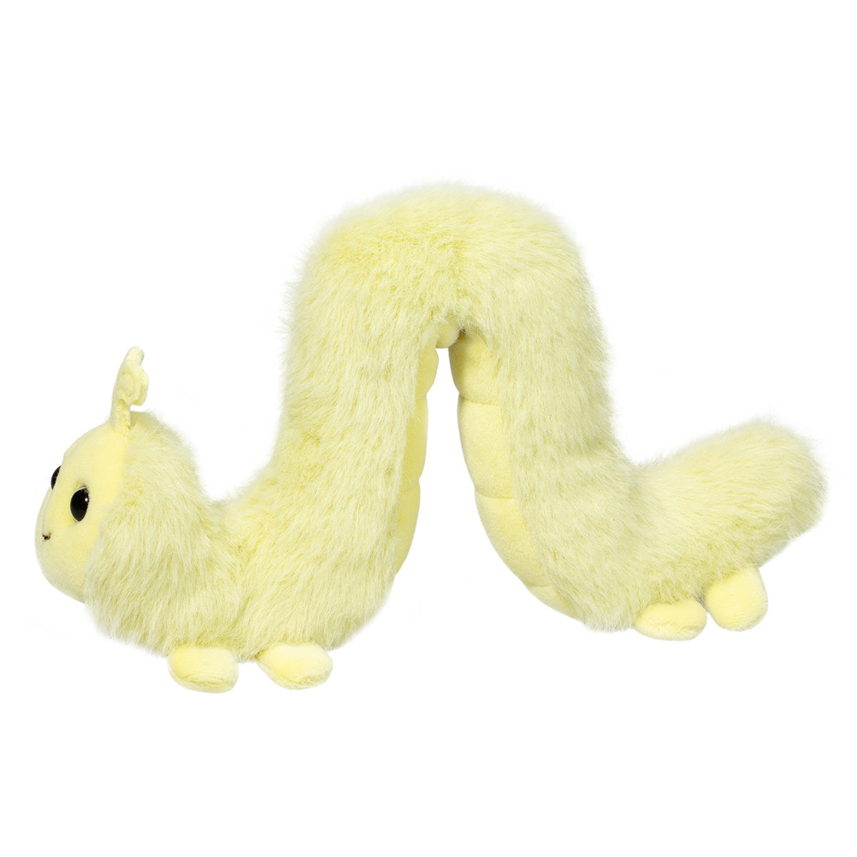 Inchy the Inchworm