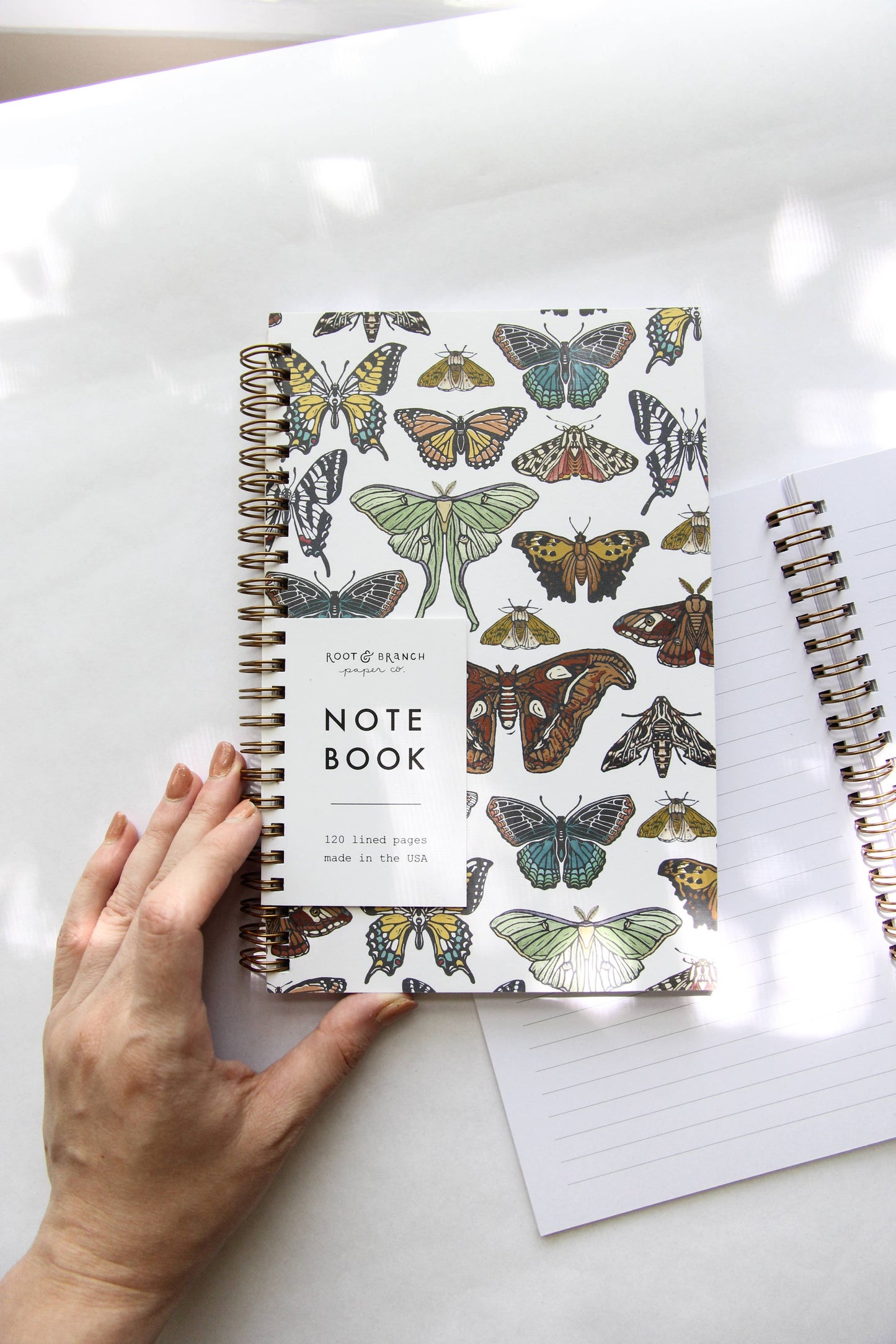 Butterfly & Moth Spiral Bound Notebook