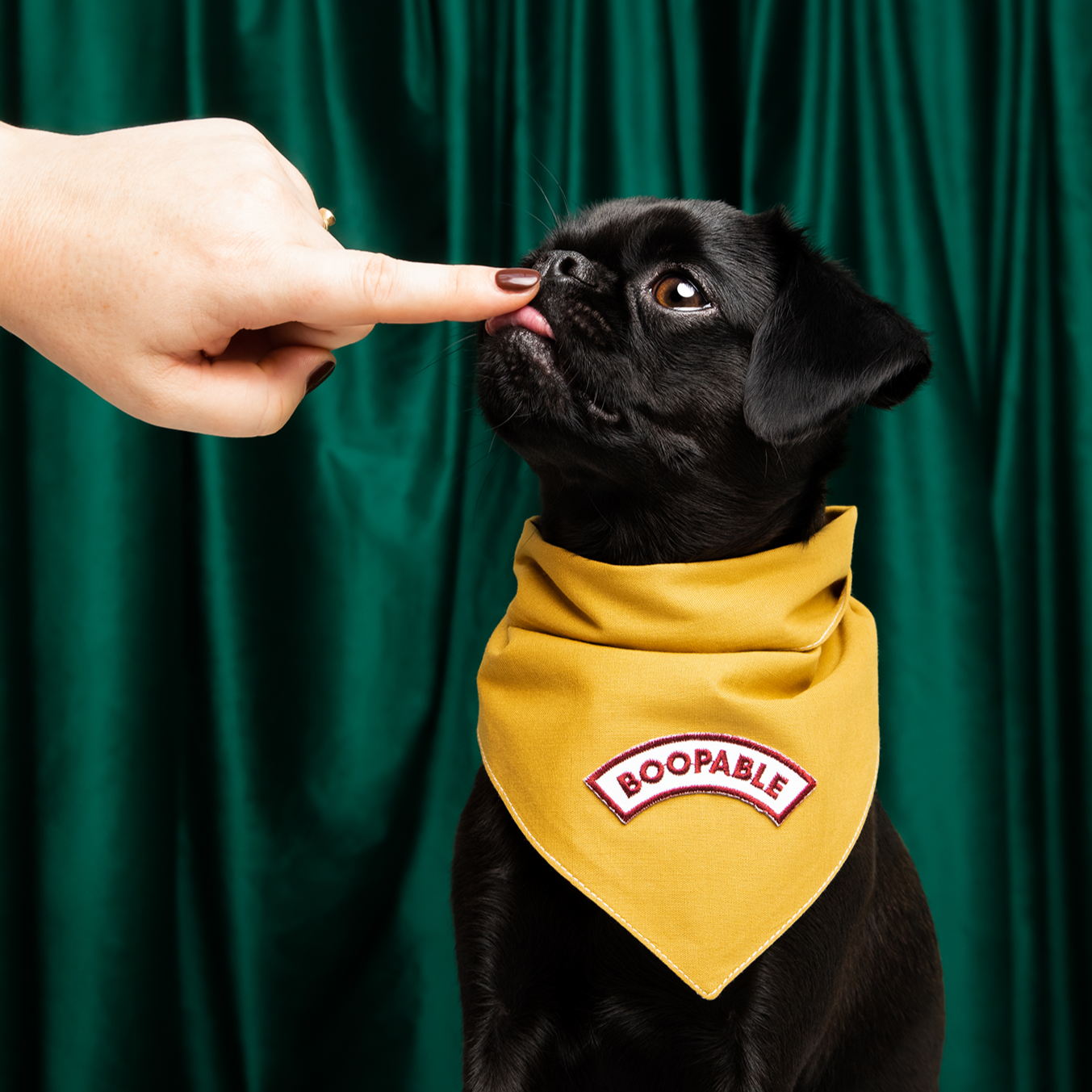 Boopable Iron-On Patch for Dogs