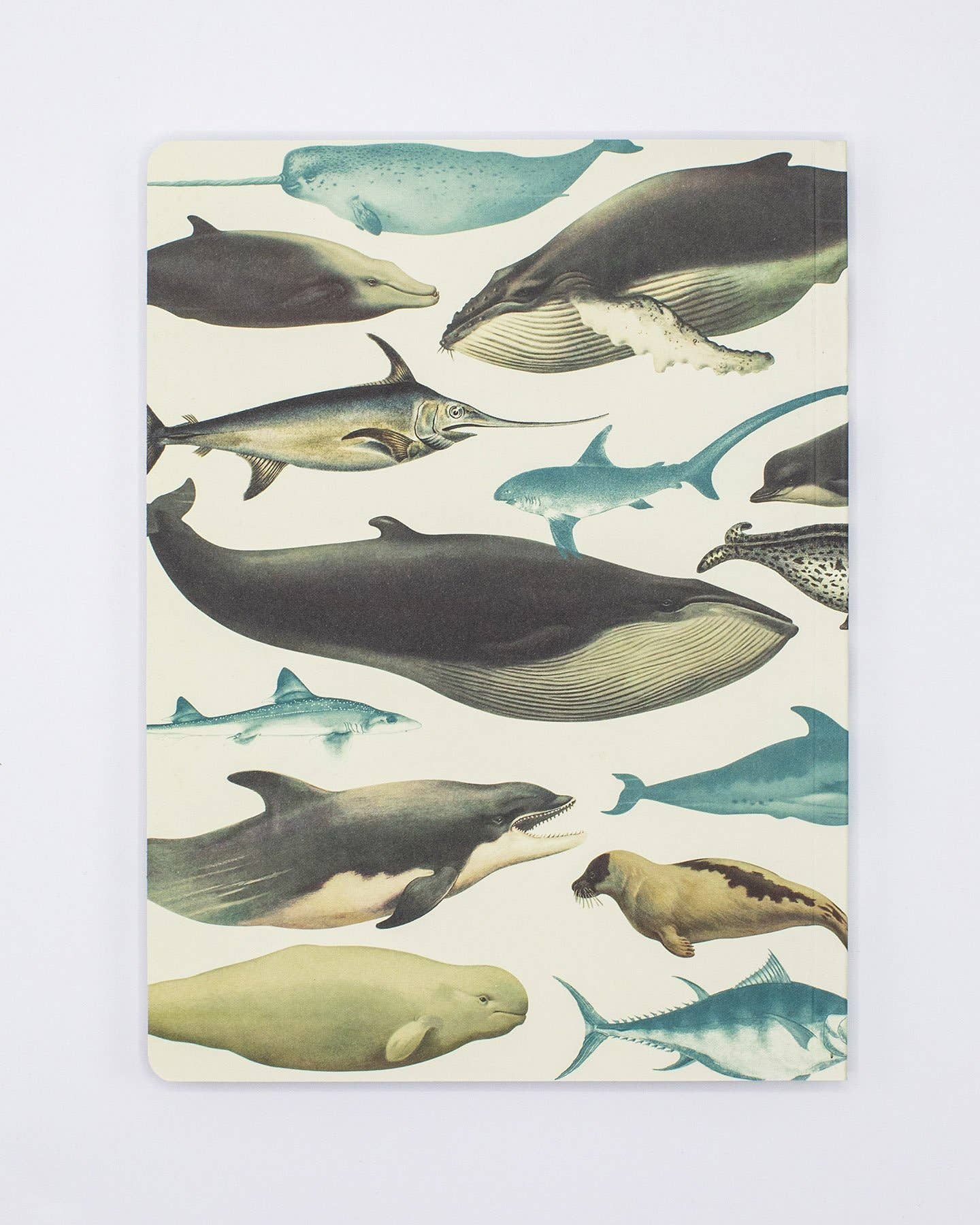 Whales & Seals Softcover Notebook