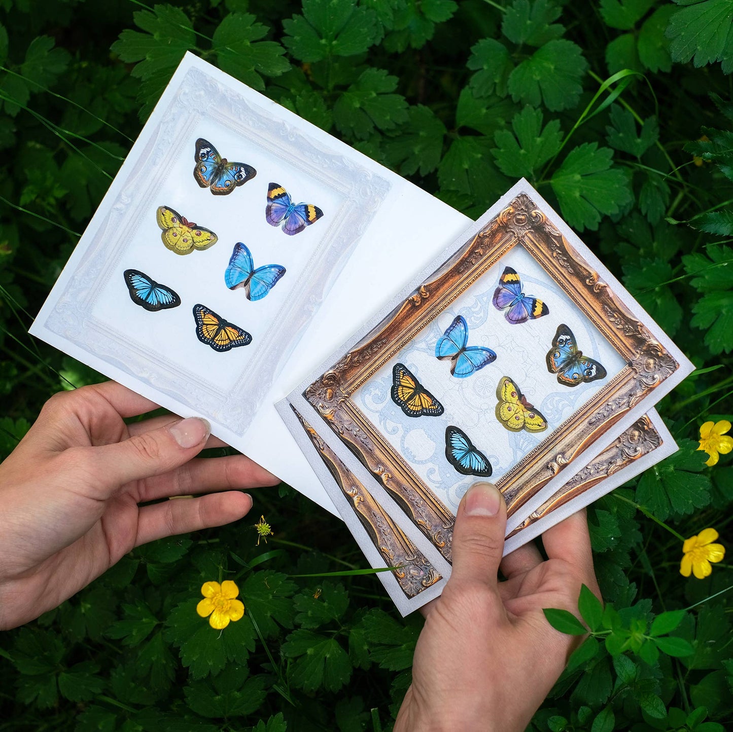 'Sunny' Mini Butterfly 'Pop-Out' Greeting Card