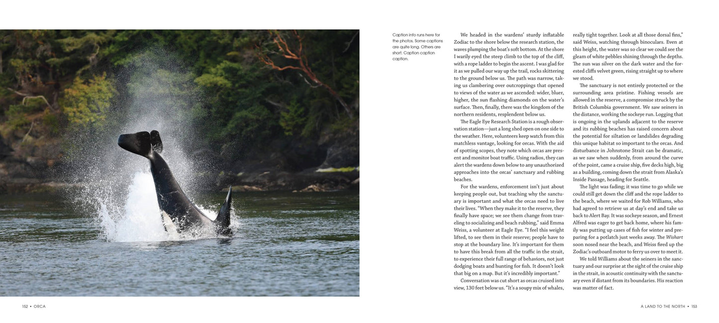 Orca: Shared Waters, Shared Home Book