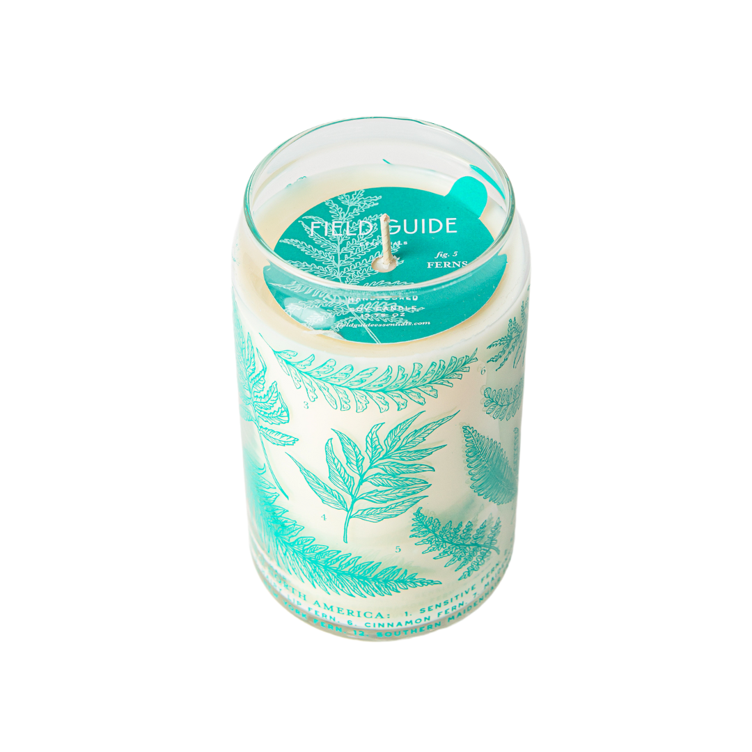 Ferns Soy Candle