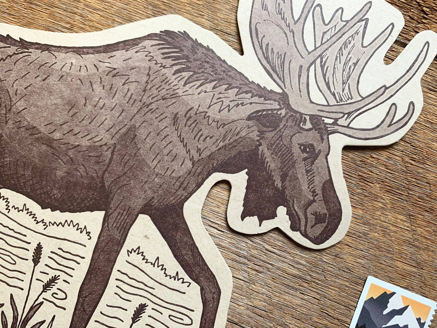 Moose Postcard