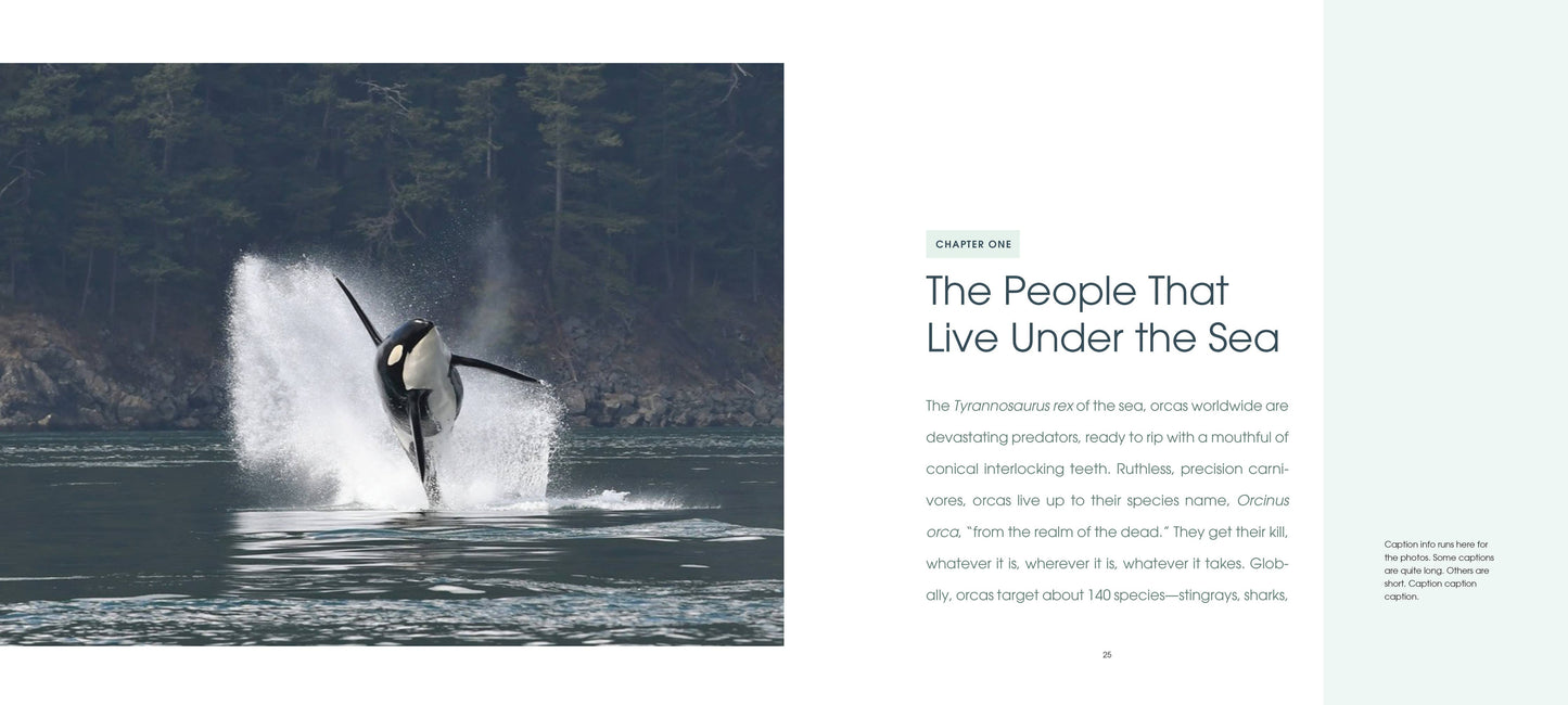 Orca: Shared Waters, Shared Home Book
