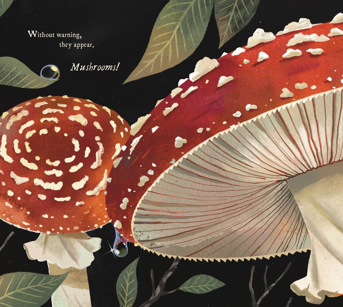Mushroom Rain