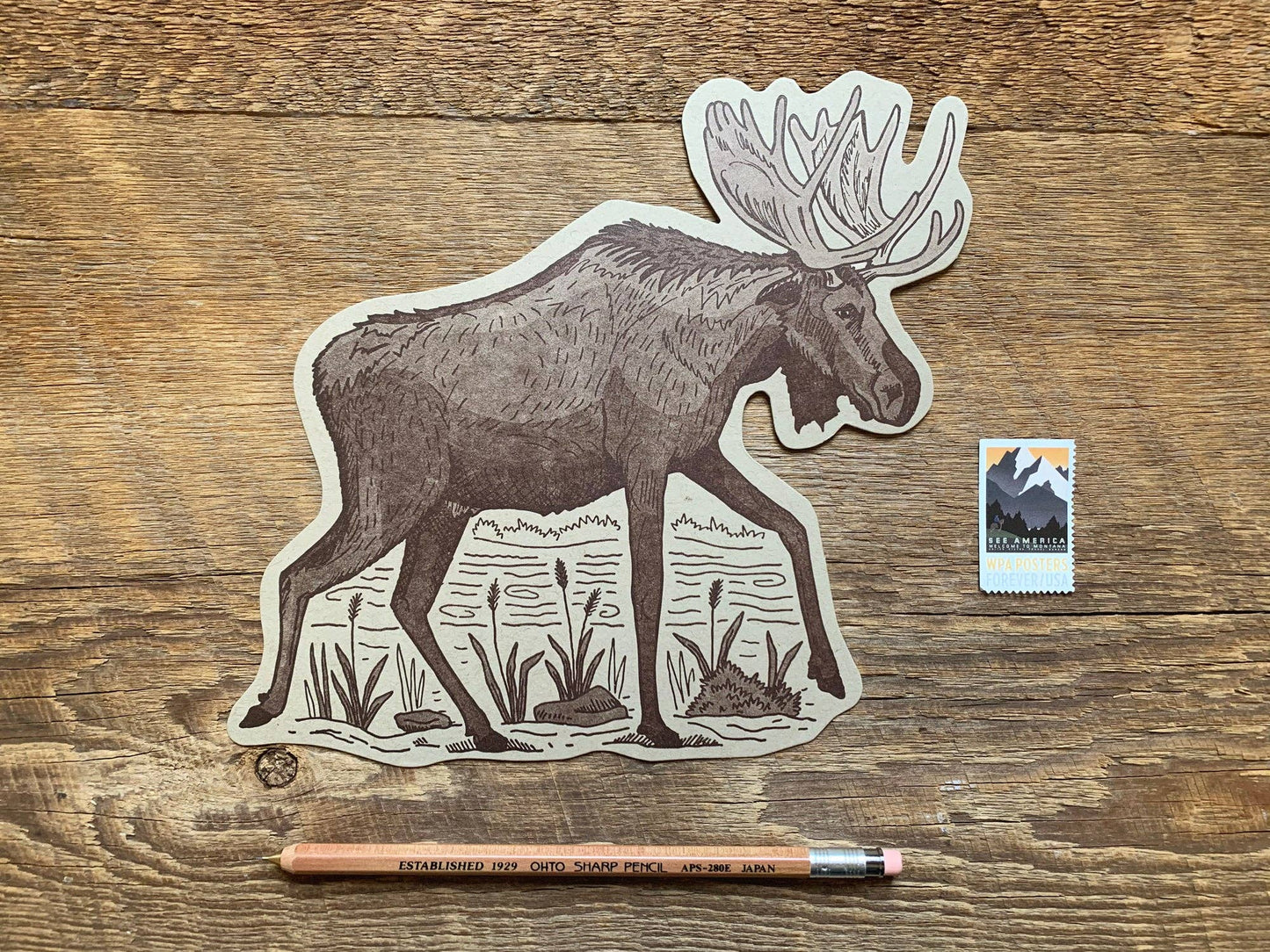 Moose Postcard