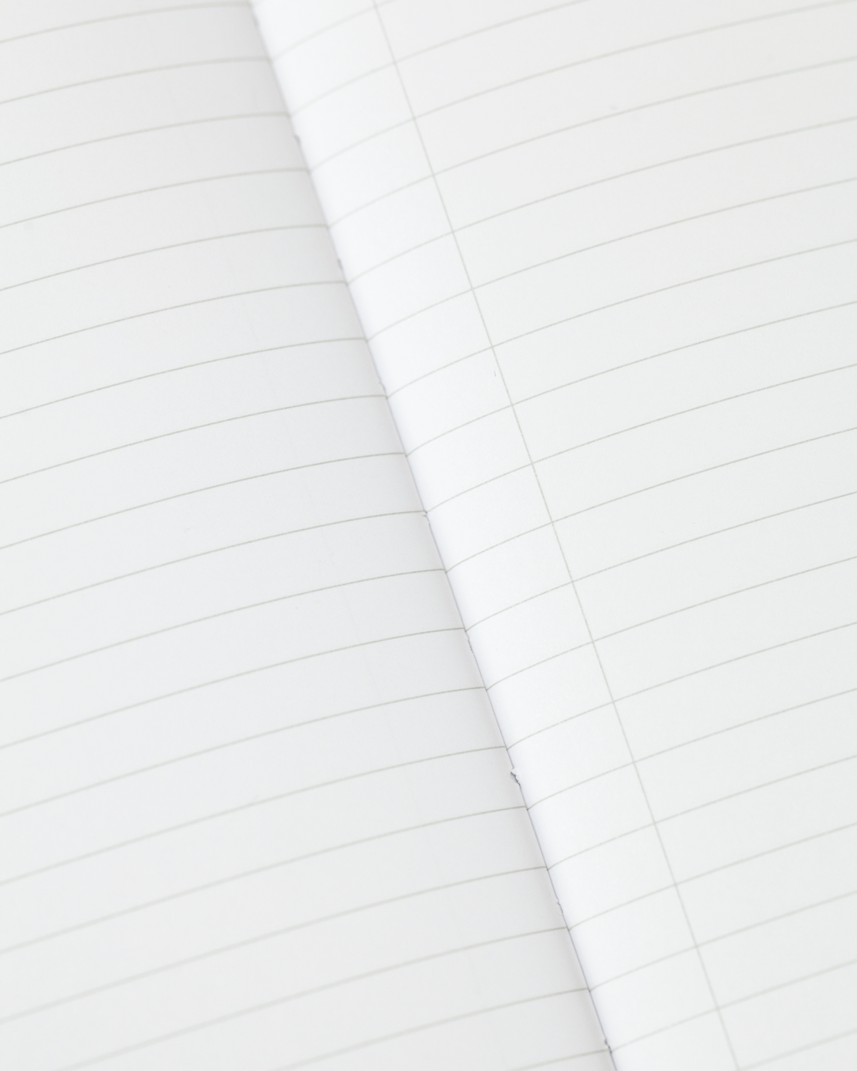 Whales & Seals Softcover Notebook