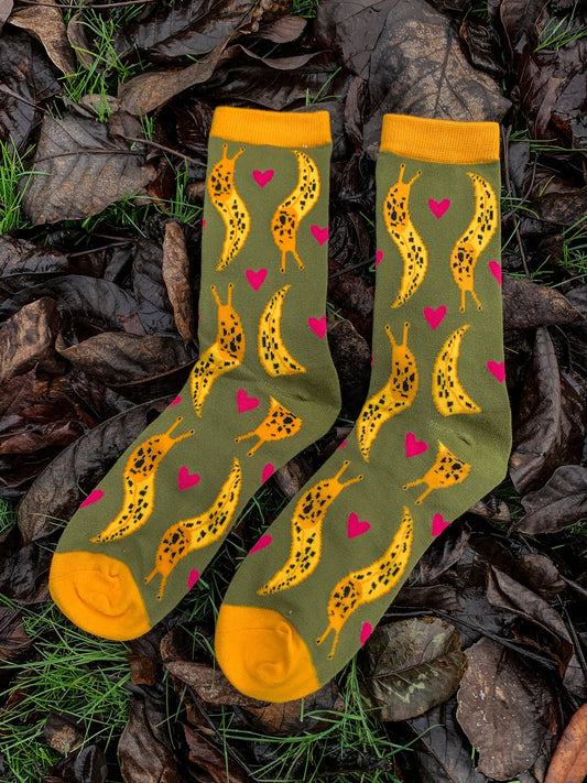 Banana Slug Socks