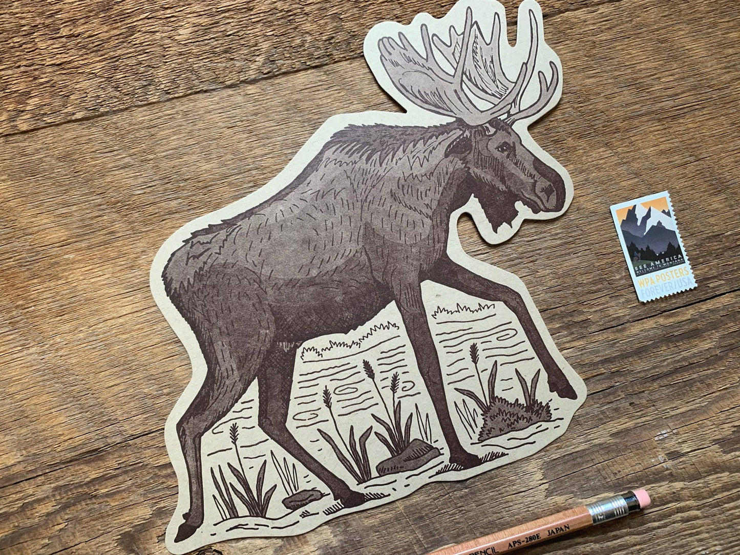 Moose Postcard