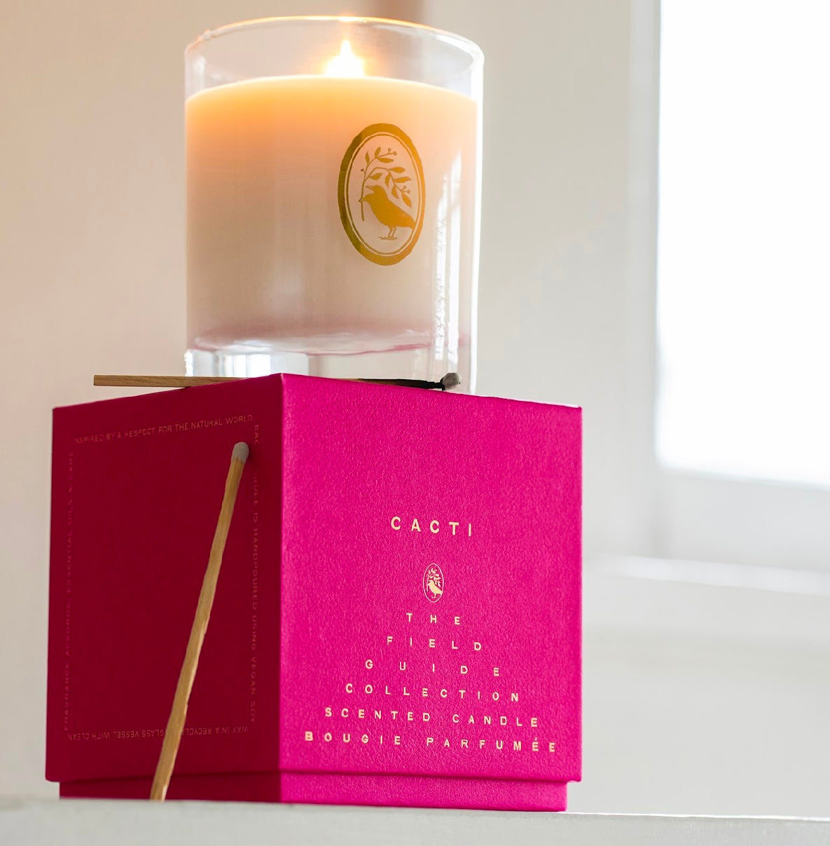 Cacti Signature Candle