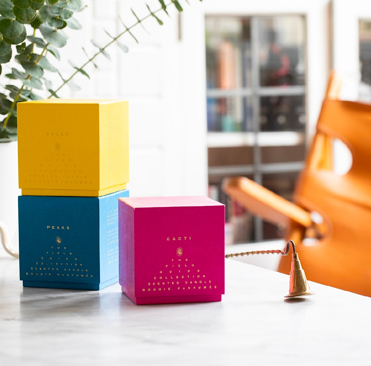 Cacti Signature Candle