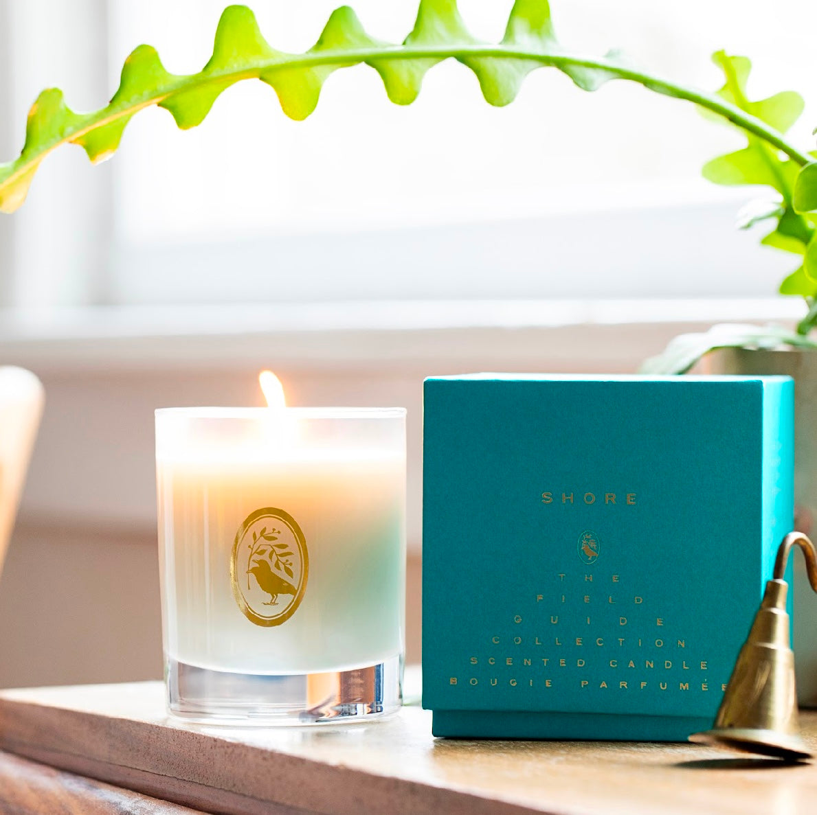 Shore Signature Candle