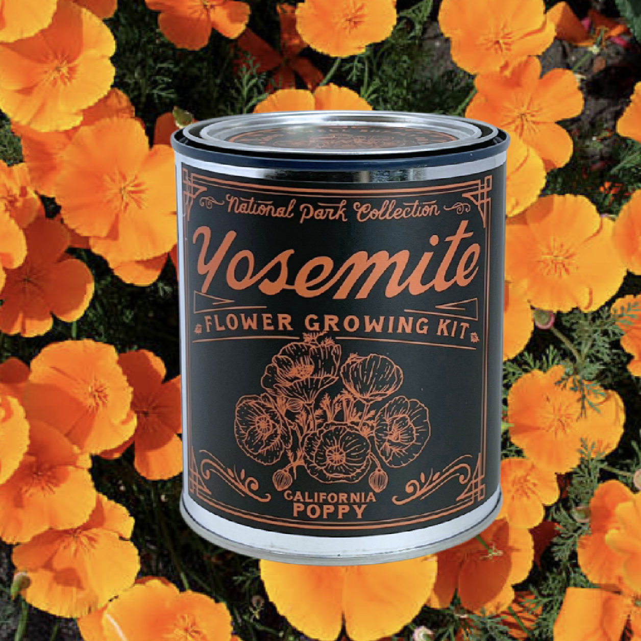 National Park Flower Growing Kit - Yosemite California Poppies