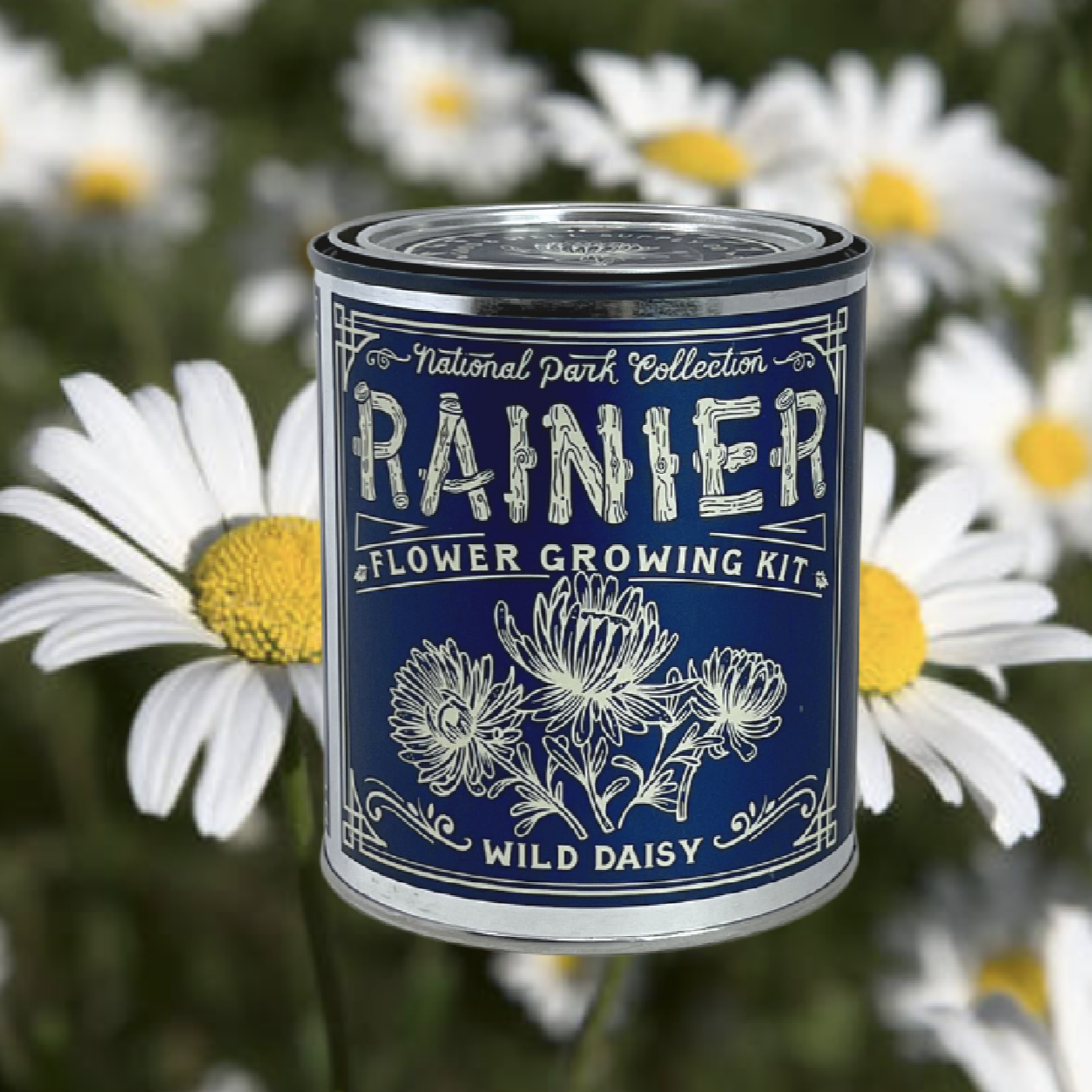 National Park Flower Growing Kit - Rainier Wild Daisy