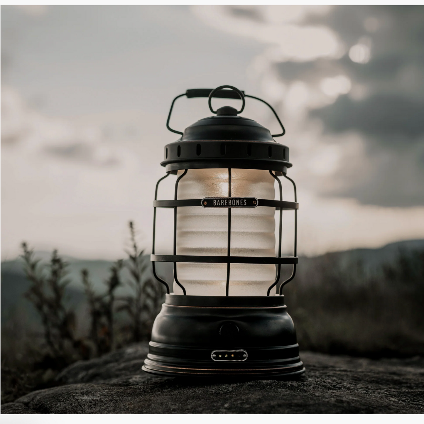 Forest Lantern - Antique Bronze