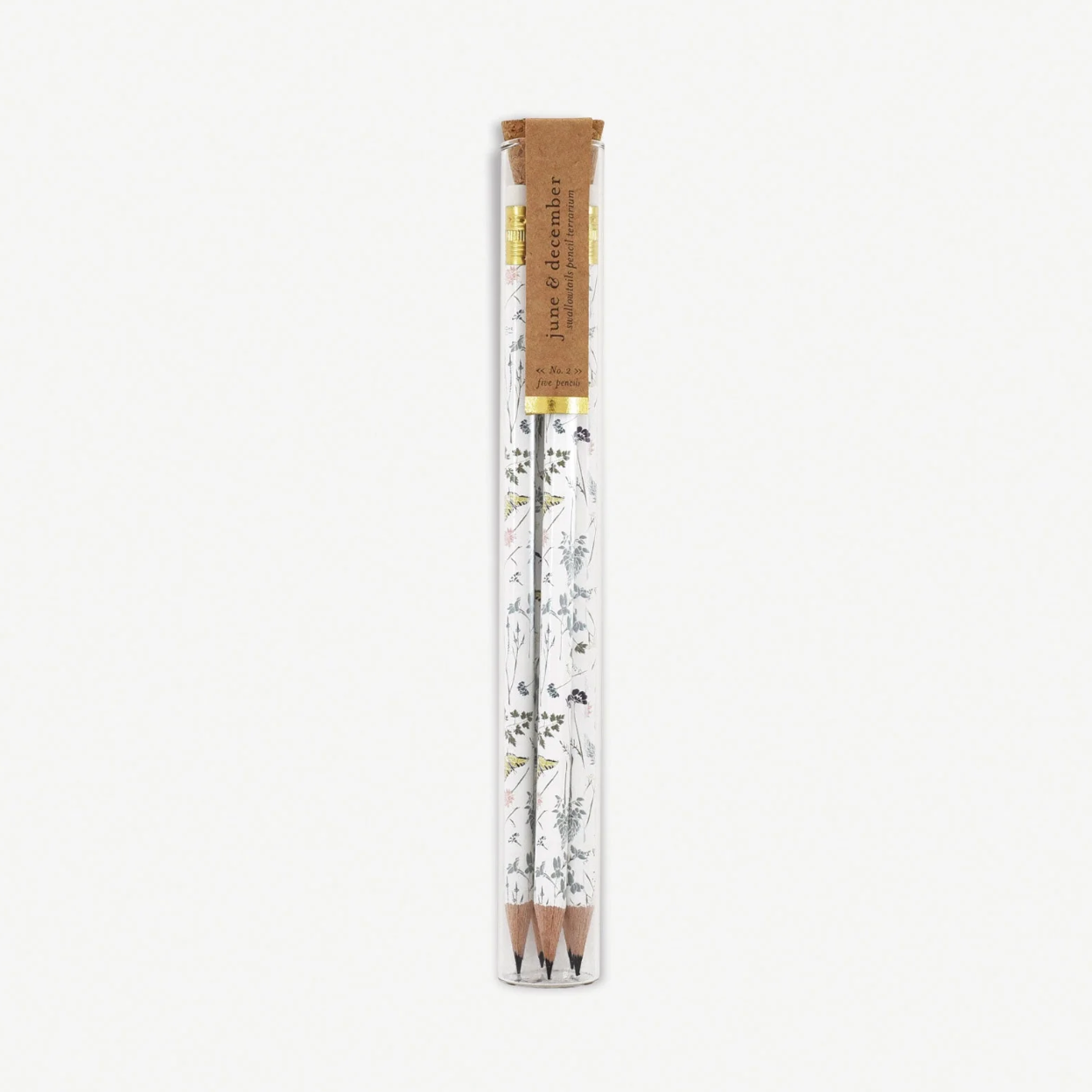 Butterfly Pencil Terrarium