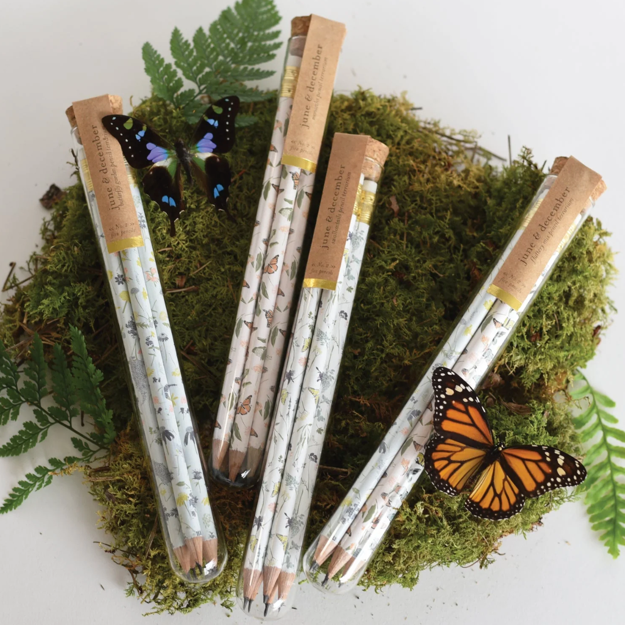Garden Mix Pencil Terrarium