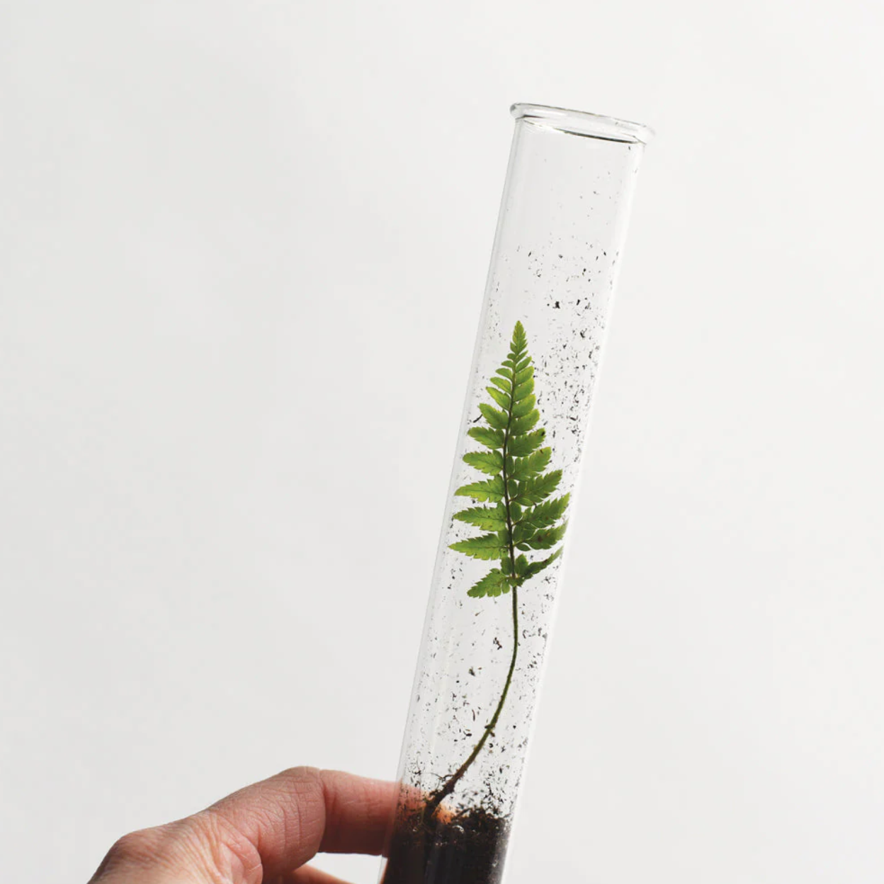 Garden Mix Pencil Terrarium