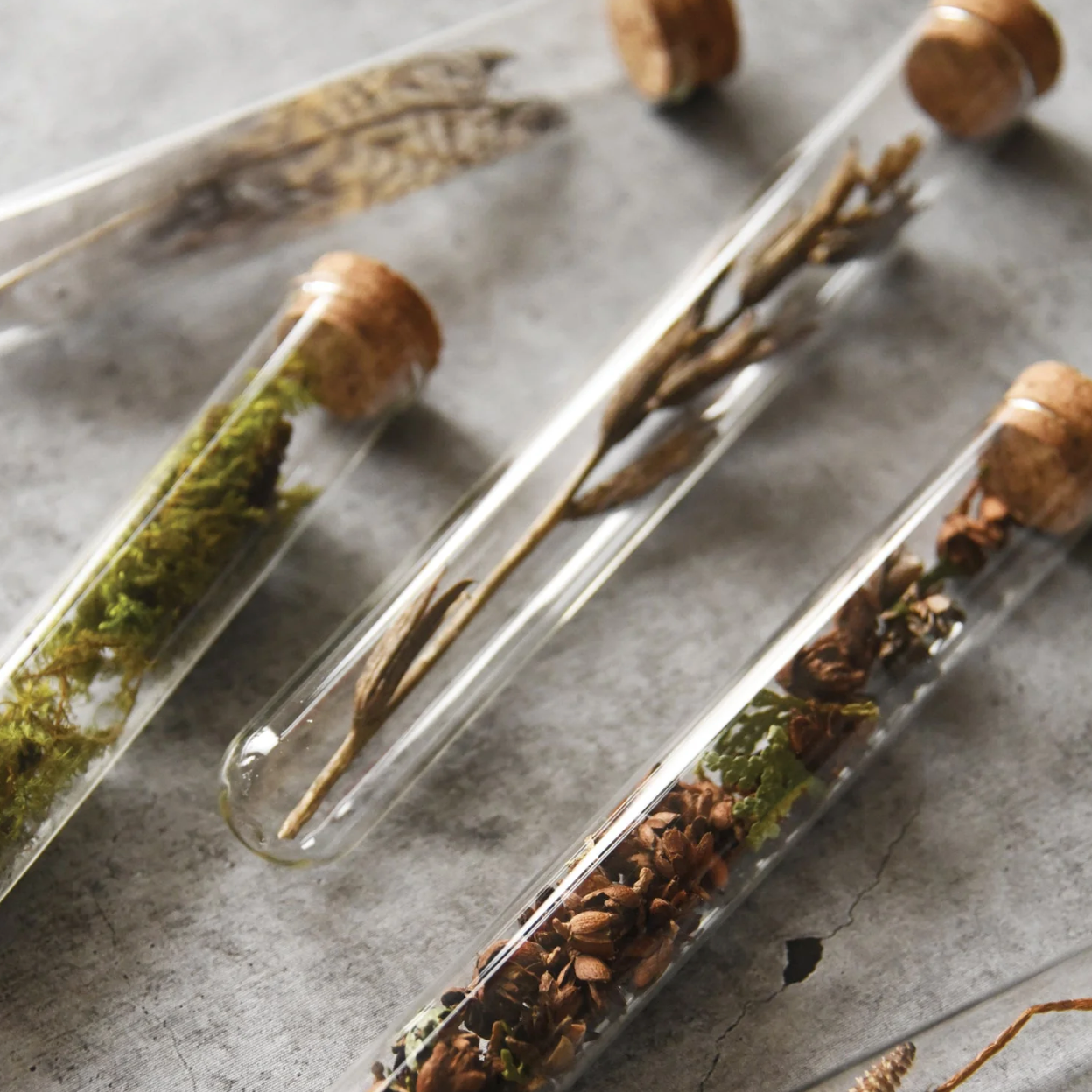 Garden Mix Pencil Terrarium