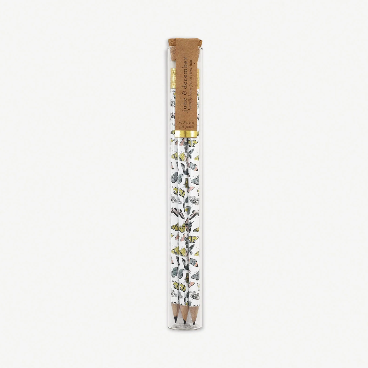 Swallowtails Pencil Terrarium