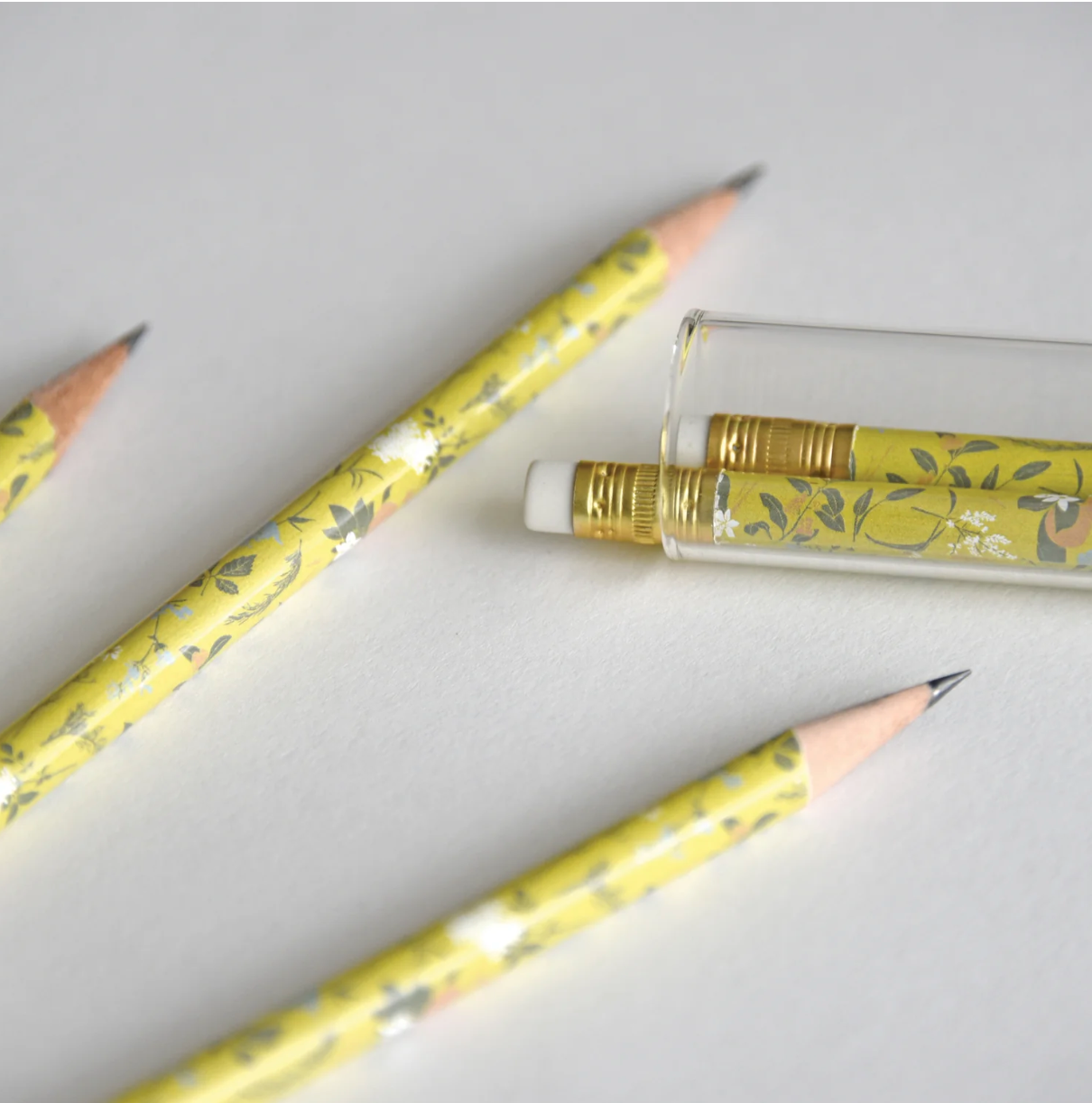 Tea Garden Pencil Terrarium