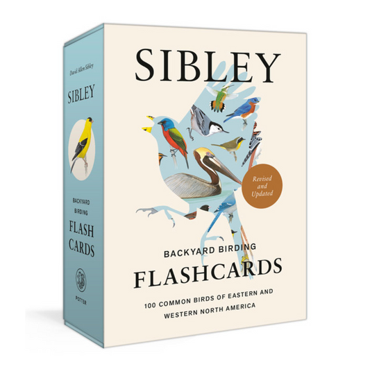 Sibley Backyard Birding Flashcards: 100 Common birds of Eastern and Western North America
