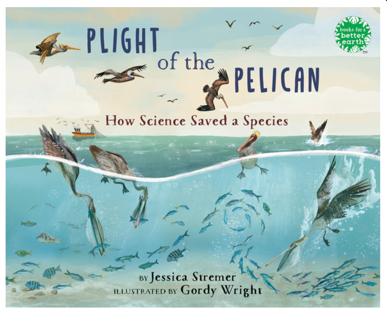 Plight of the Pelican by Jessica Stremer