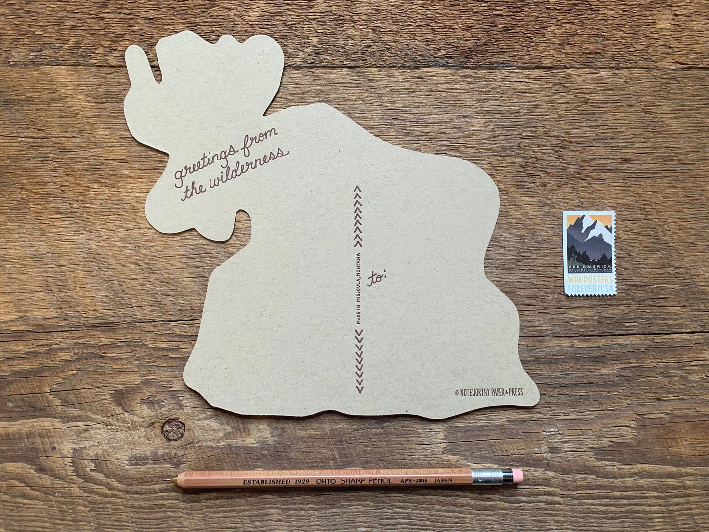 Moose Postcard