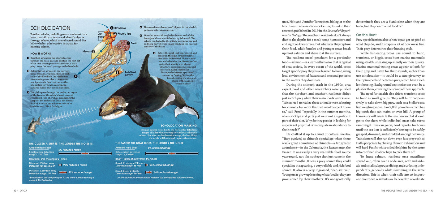 Orca: Shared Waters, Shared Home Book