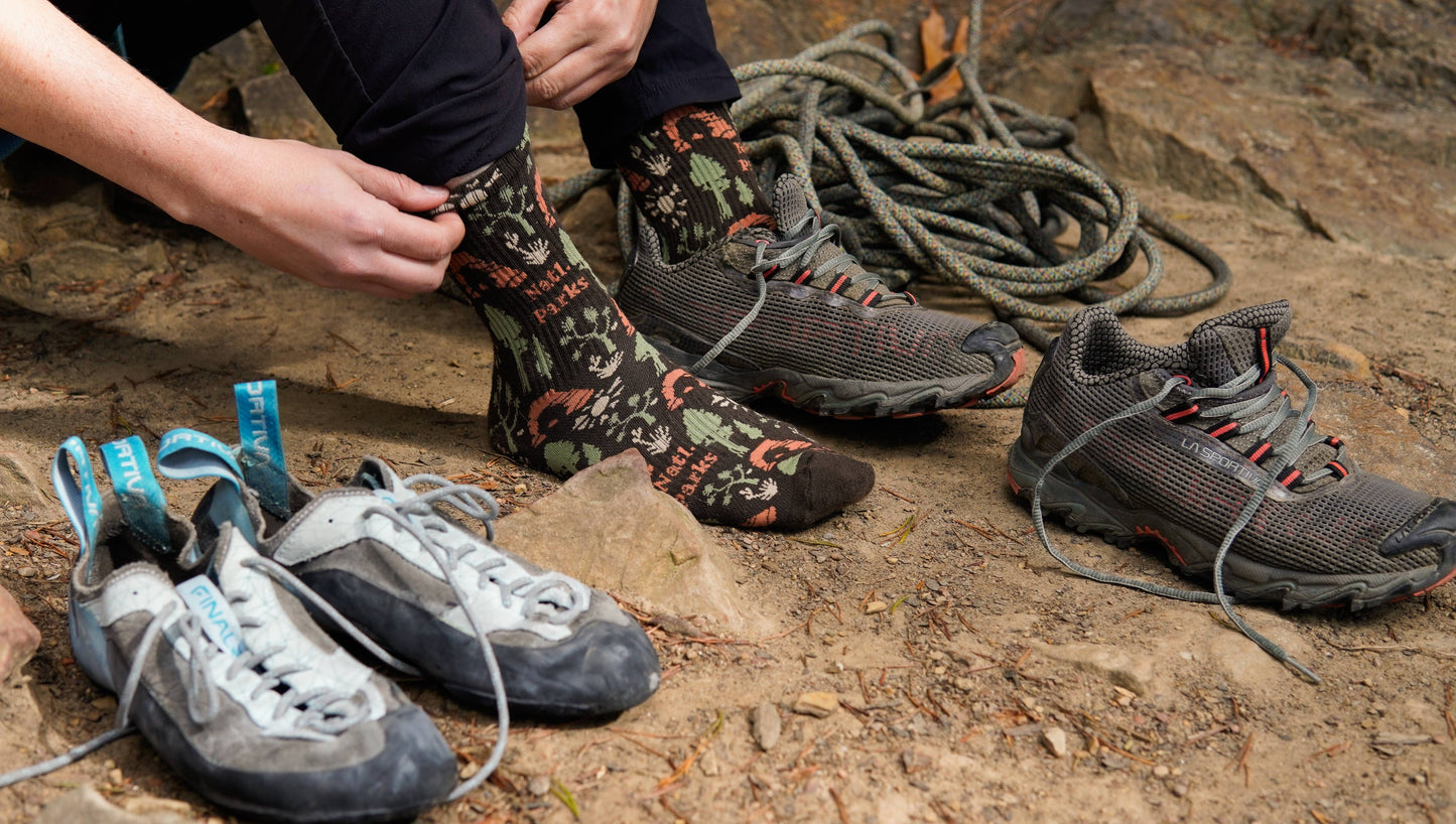 National Park Roundup Sock: Brown