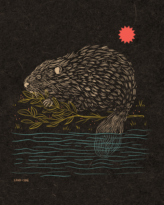 Winter Beaver: 8x10