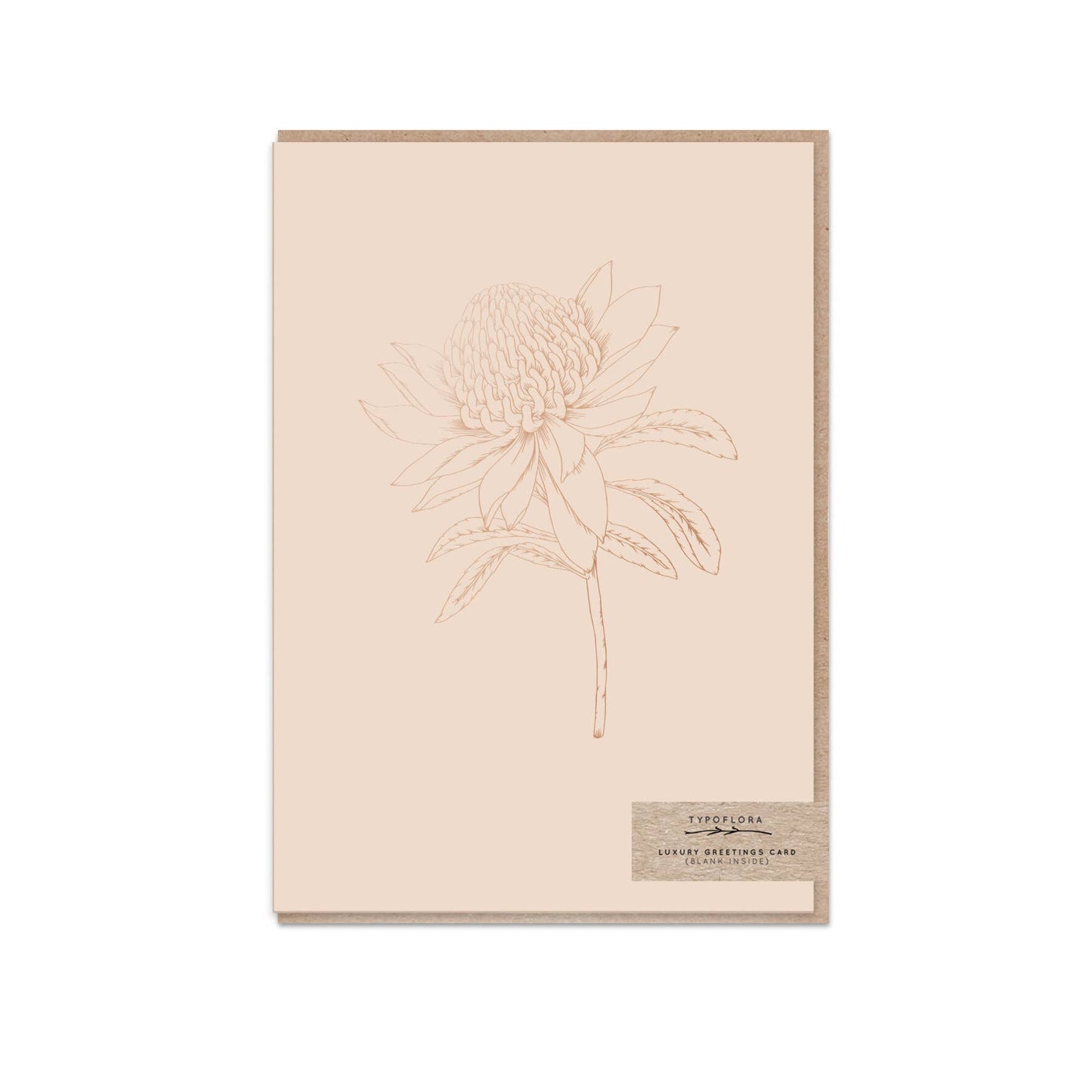 Nude Waratah