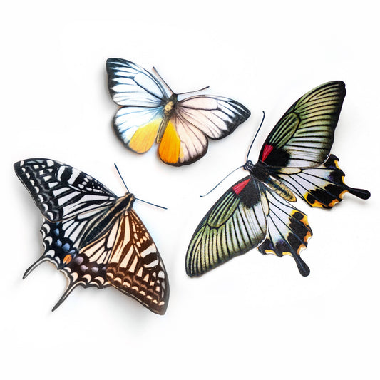 'Basra' Butterfly 3 piece Set