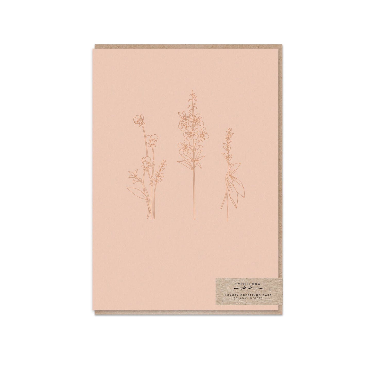 Shell Wildflowers