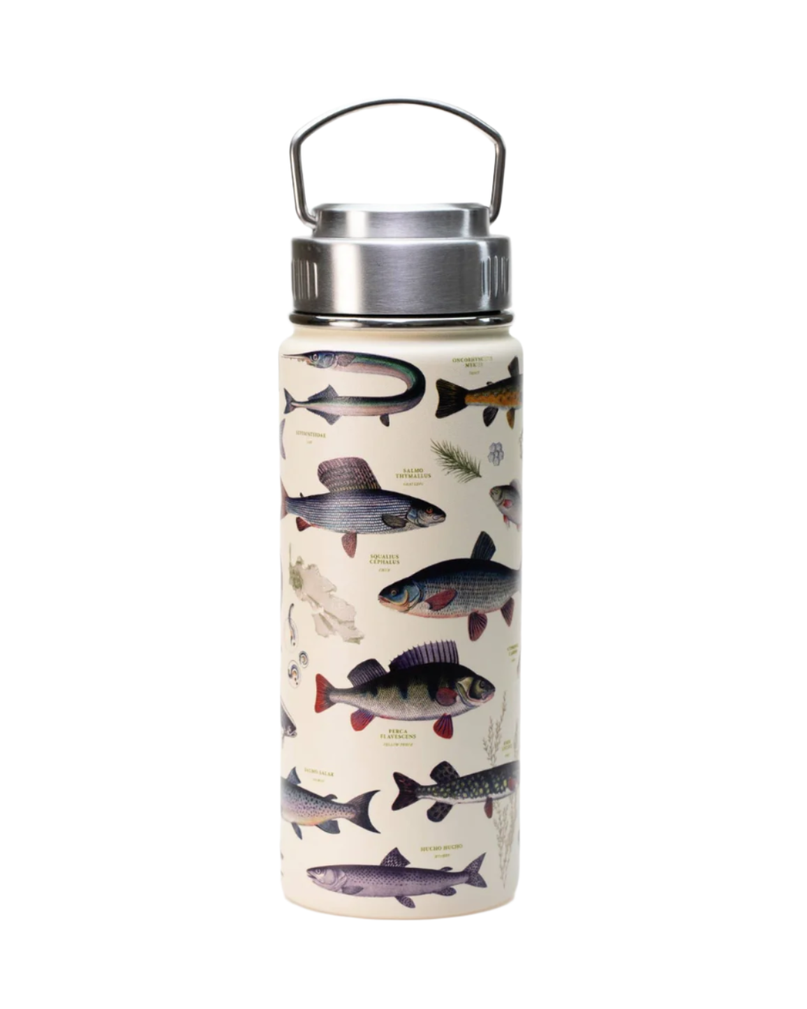 Freshwater Fish Stainless Steel Vacuum Flask