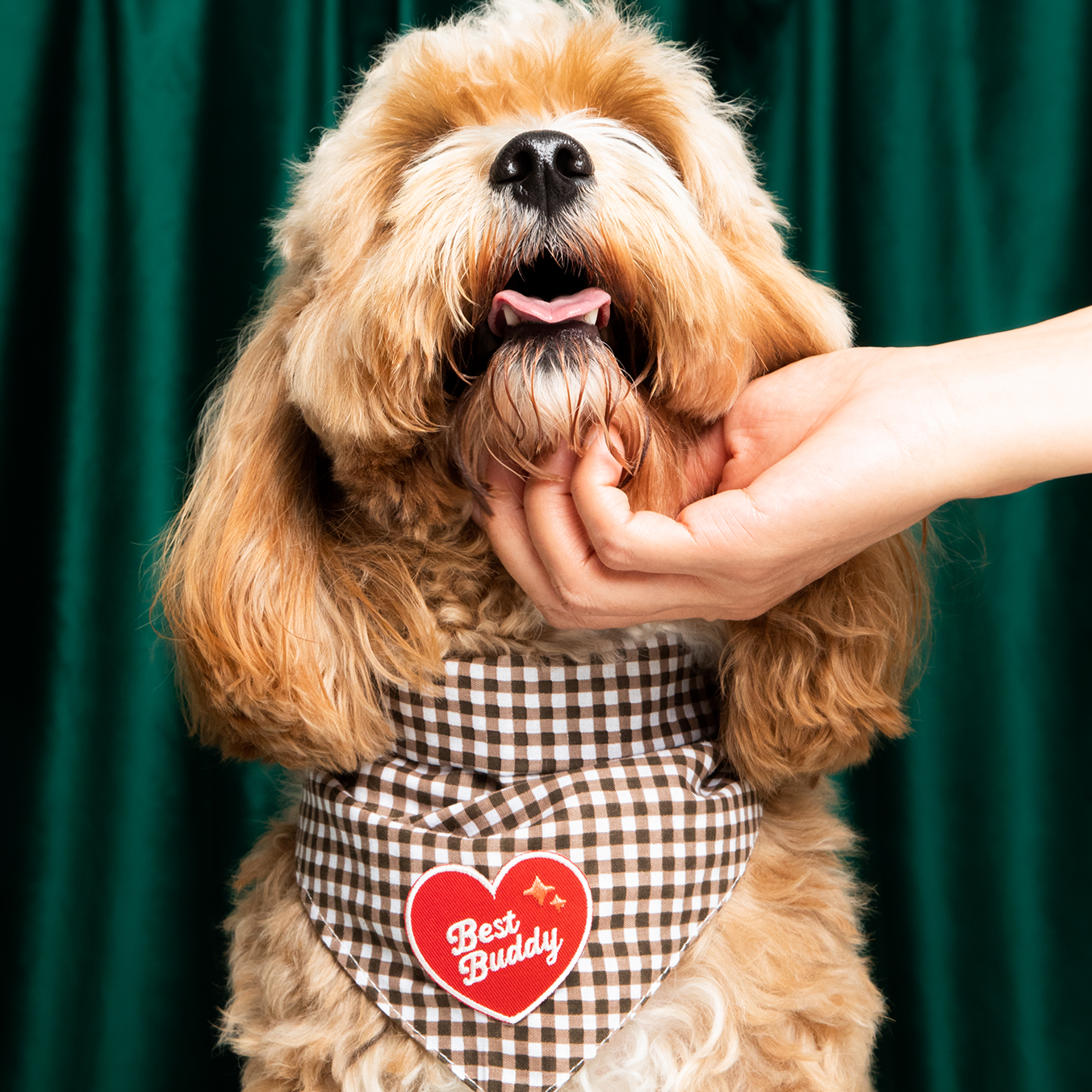 Best Buddy Iron-On Patch for Dogs