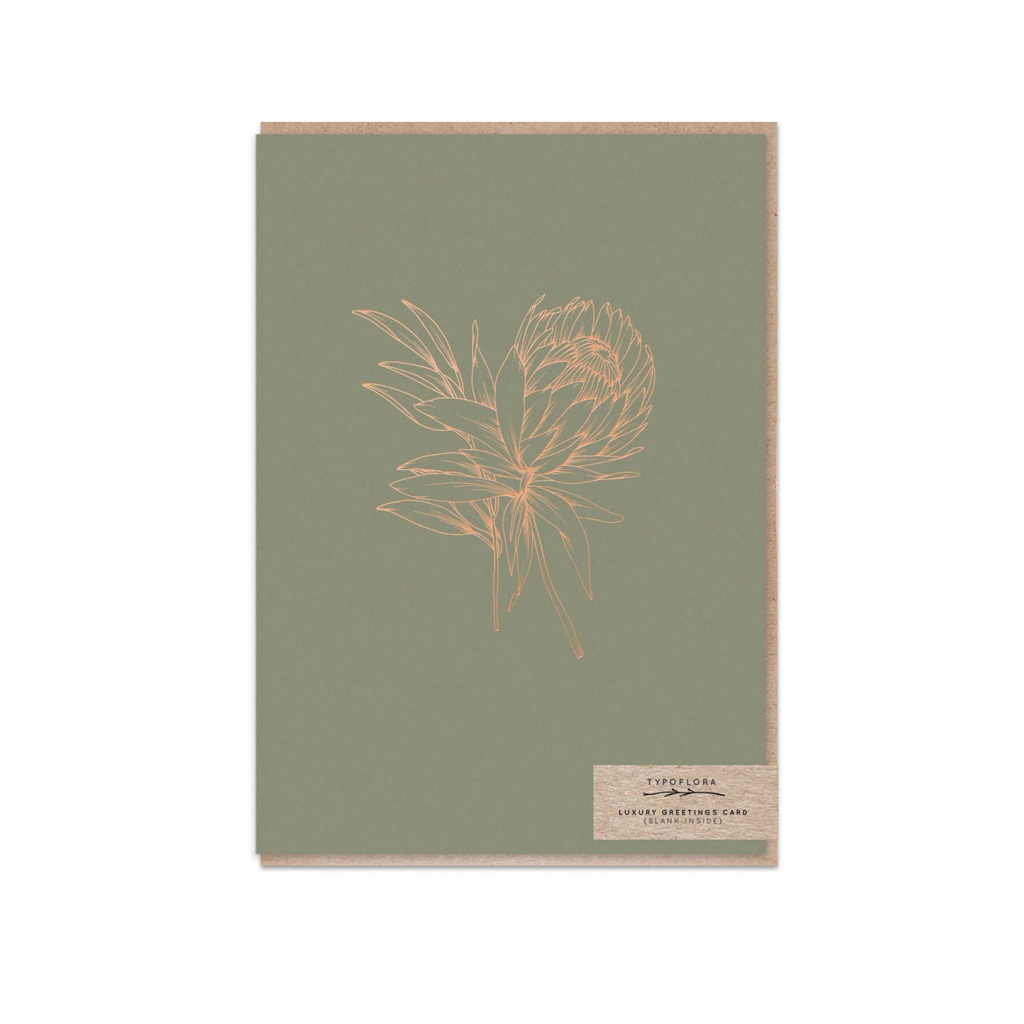 Khaki Protea