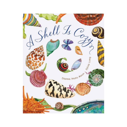 A Shell Is Cozy