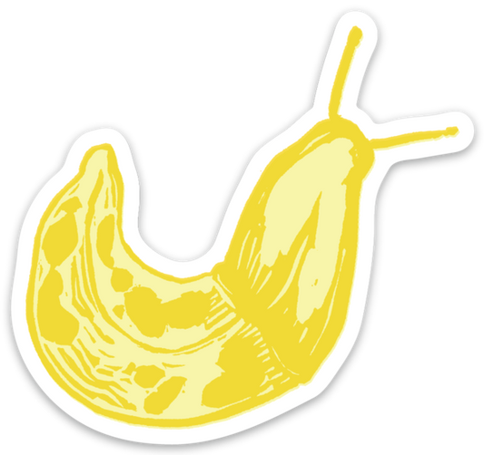 Banana Slug Sticker