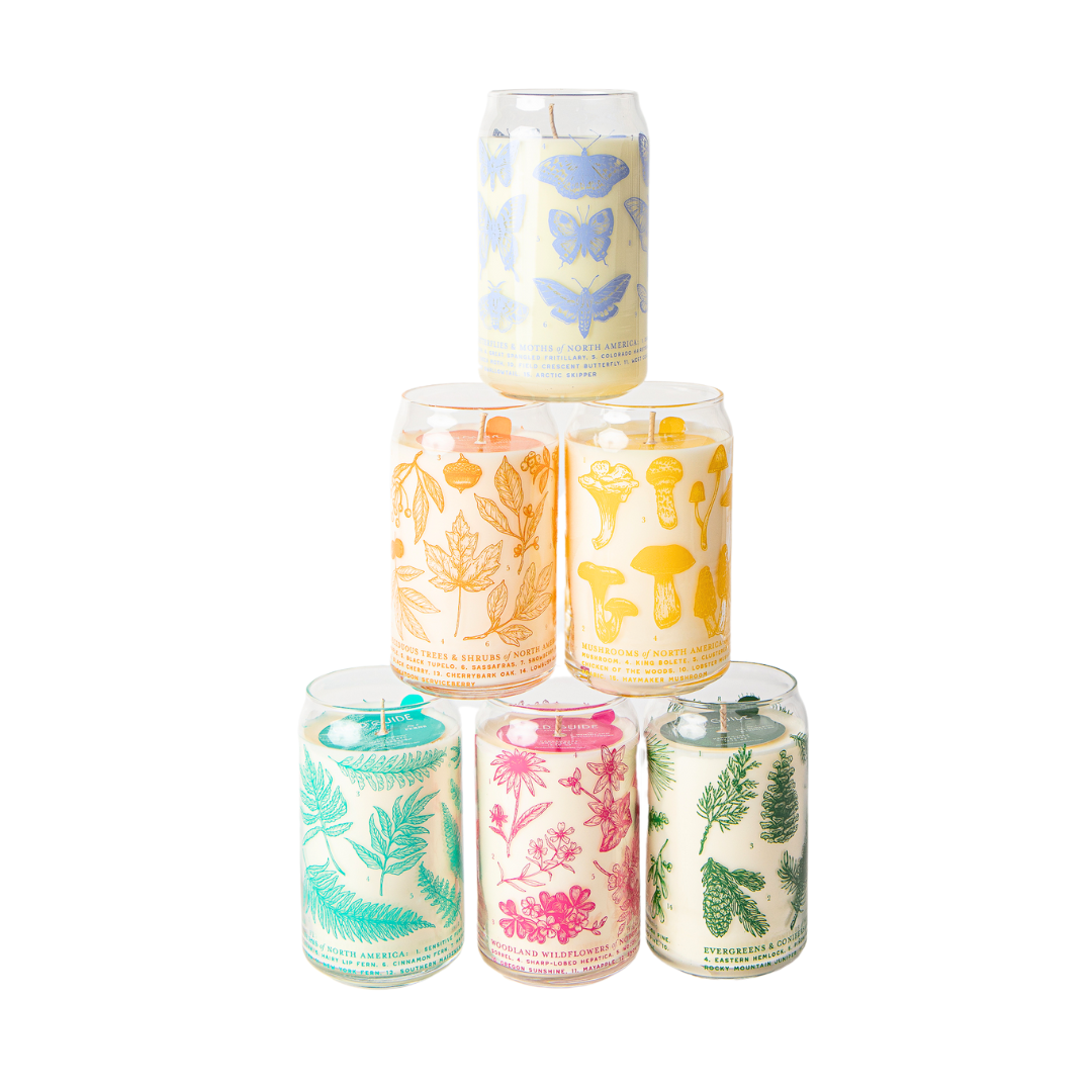 Butterflies & Moths Soy Candle