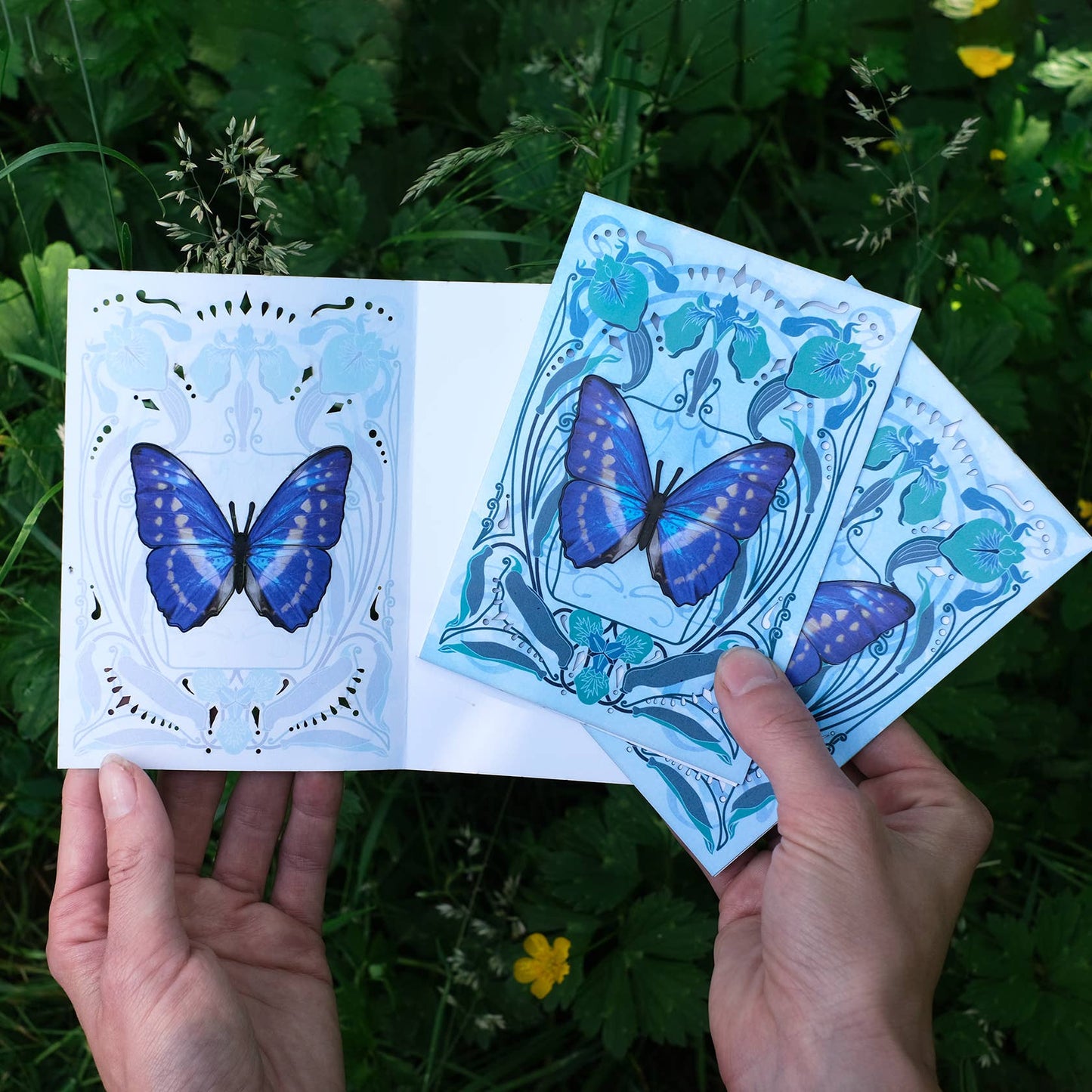 White & Blue Morpho 'Pop-Out' Greeting Card