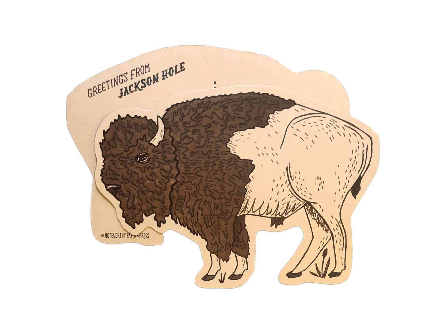 Bison Postcard: General Back