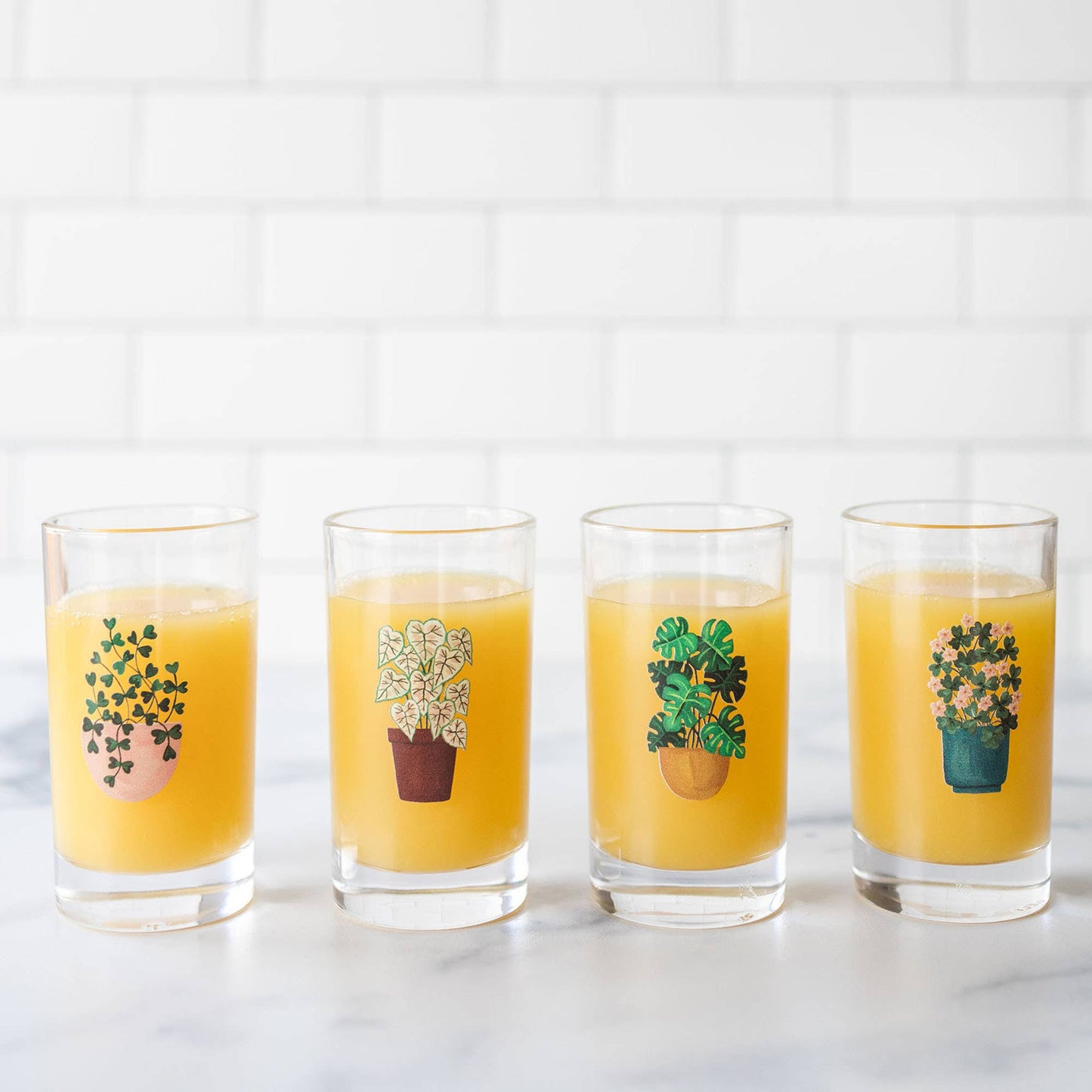 Houseplants Mini Juice Glass