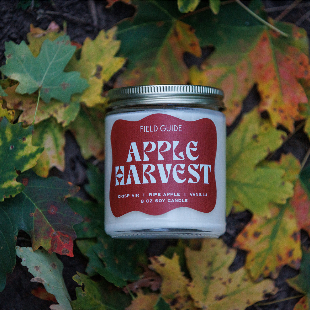 Apple Harvest Soy Candle